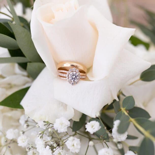 a ring on a flower , myrtle beach photographers, myrtle beach family photographers myrtle beach wedding photographers