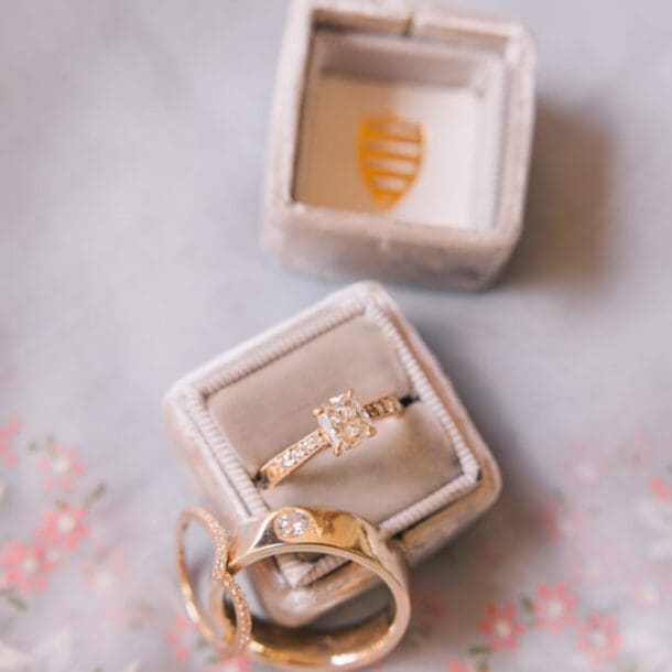 light chua bushel peck4 681x1024 1