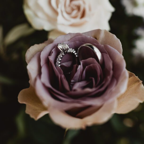 firefly gardens wedding bushel peck photo4